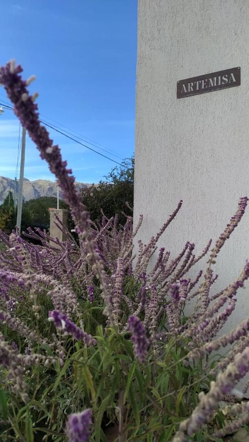 Casa Artemisa Βίλα Merlo Εξωτερικό φωτογραφία